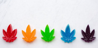 How THC Gummies Can Be a Discreet and Convenient Way to Enjoy Cannabis THC Gummies