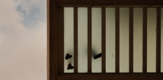 Freedom with Confidence: How to Choose the Right Bail Bonds Bail Bonds