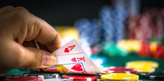 Why Cricketbet99 is Turning Heads in the Online Betting World Cricketbet99