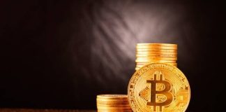 The Impact of Exchange Participation on Neuroplasticity BTCC Crypto