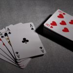 Allpaanel: A Beginner’s Guide to Online Casino Gaming Allpaanel