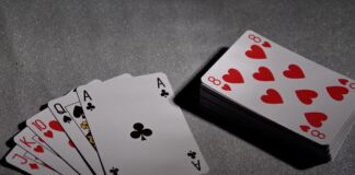 Allpaanel: A Beginner’s Guide to Online Casino Gaming Allpaanel